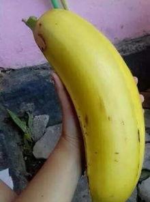 国产情侣大香蕉